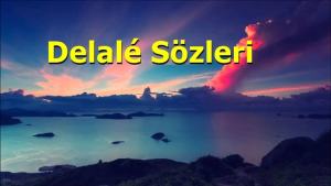 Şivan Perwer Delale Sözleri