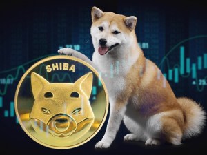 Analist İddialı: SHIB Hafta Sonuna Kadar Bu Seviyelerde!