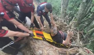 Artvin’de 50 metre uçuruma yuvarlanan kişi, kurtarıldı